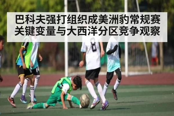 巴科夫强打组织成美洲豹常规赛关键变量与大西洋分区竞争观察 | RAY